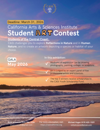 CASI Art Flyer - 1