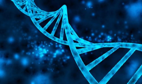 The October 27th CASI Youth Mentoring Event