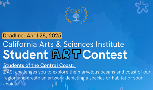 CASI Art Contest Flyer 2025