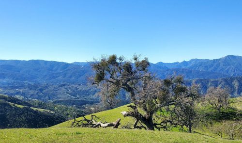 Rana Creek Reserve - California Arts & Sciences Institute - Inspiring The Planets Youth