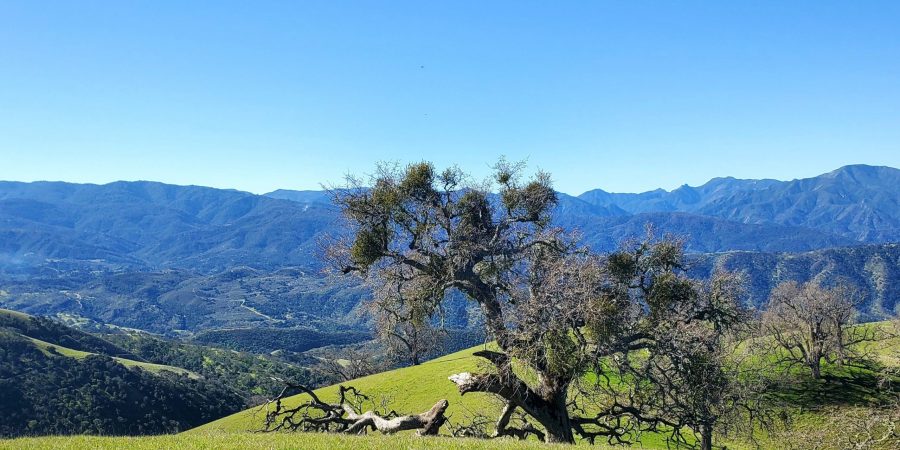 Rana Creek Reserve - California Arts & Sciences Institute - Inspiring The Planets Youth