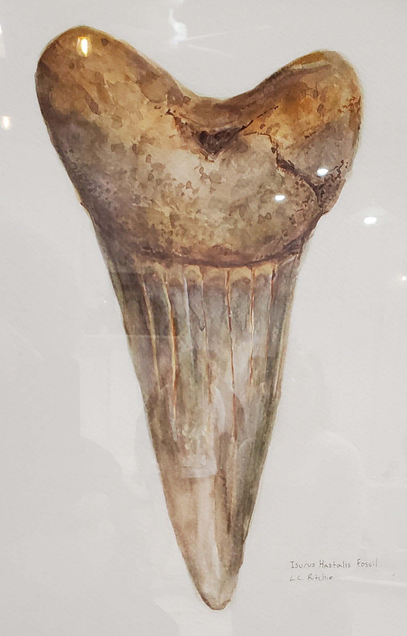 California Arts & Sciences Institute - Inspiring The Planets Youth