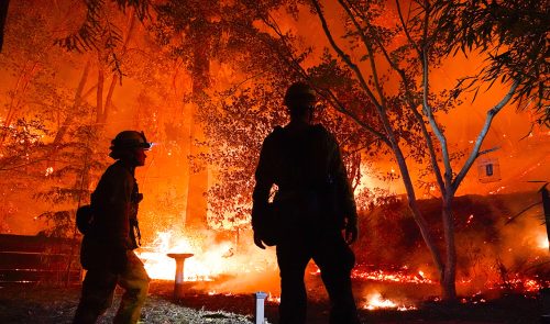 Recipe for Wildfire Prevention - California Arts & Sciences Institute - Inspiring The Planets Youth