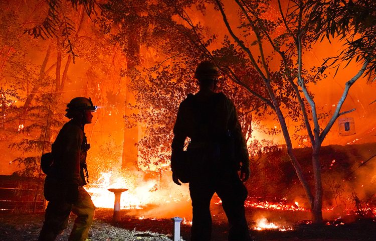 Recipe for Wildfire Prevention - California Arts & Sciences Institute - Inspiring The Planets Youth